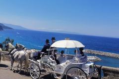 carrozza-2