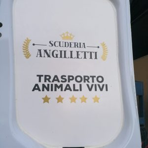 Staffetta - Scuderia Angilletti