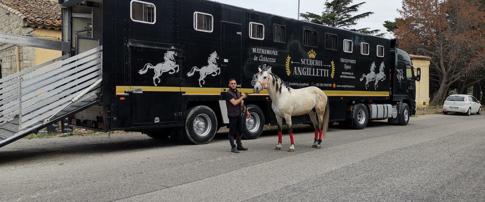 Scuderia Angilletti - Trasporti Ippici